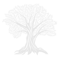 ALBERO-GREEN-CAFE ALBERO-GREEN-CAFE